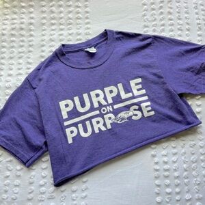 University Of Wisconsin Whitewater Cropped Tee • Size Small